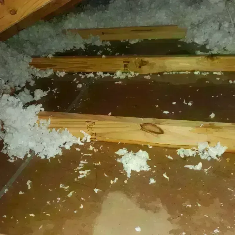 Attic Water Damage in Sciotodale, OH