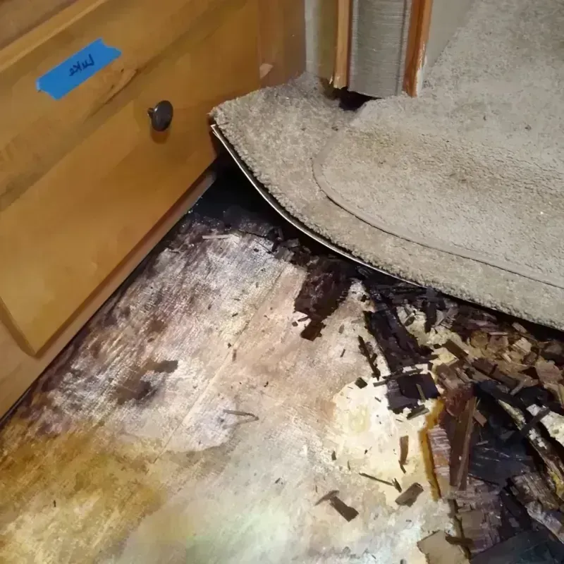 Wood Floor Water Damage in Sciotodale, OH